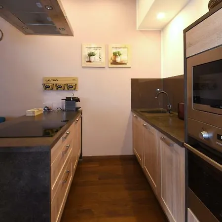 Apartment Lucni Dum *